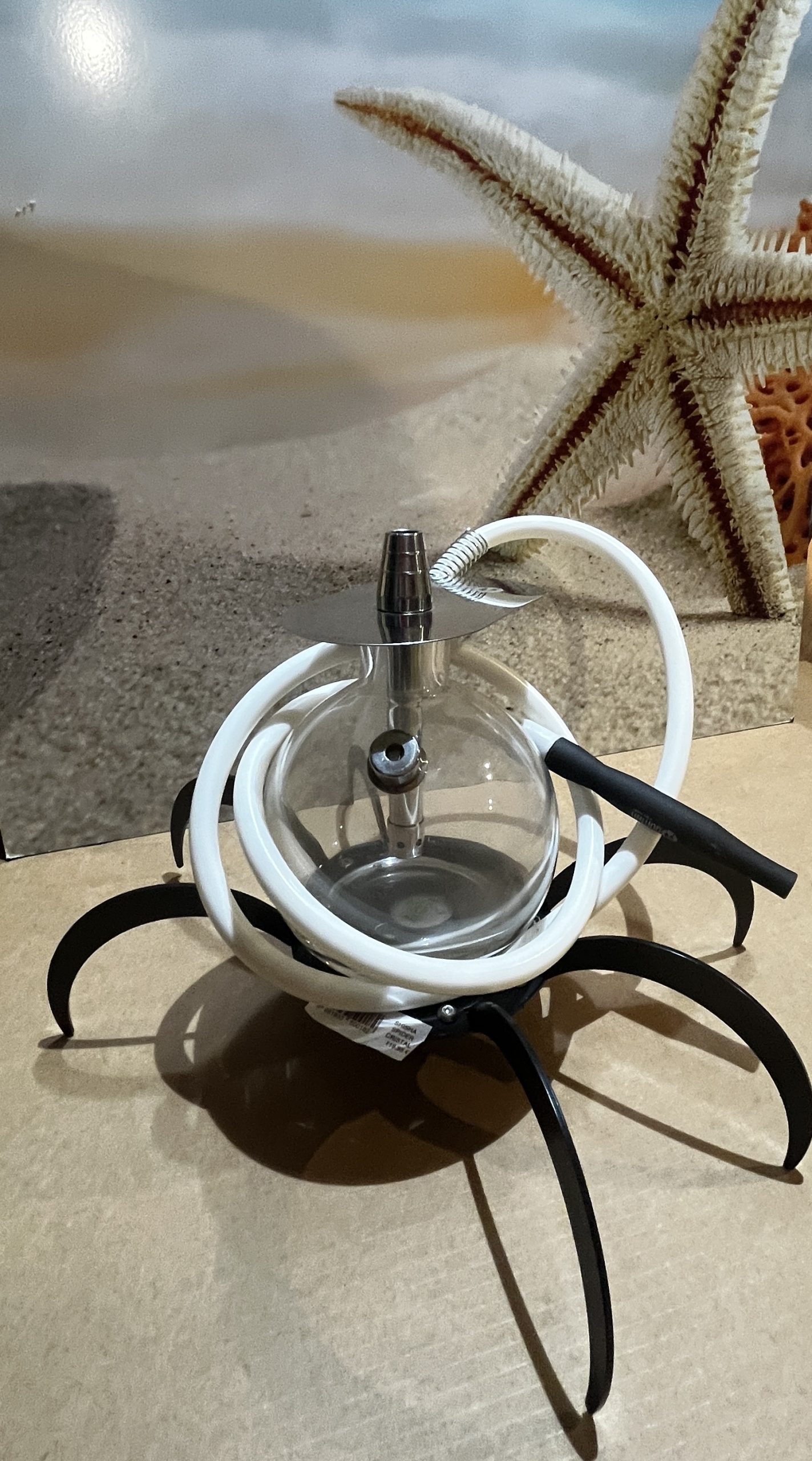 SHISHA SPIDER